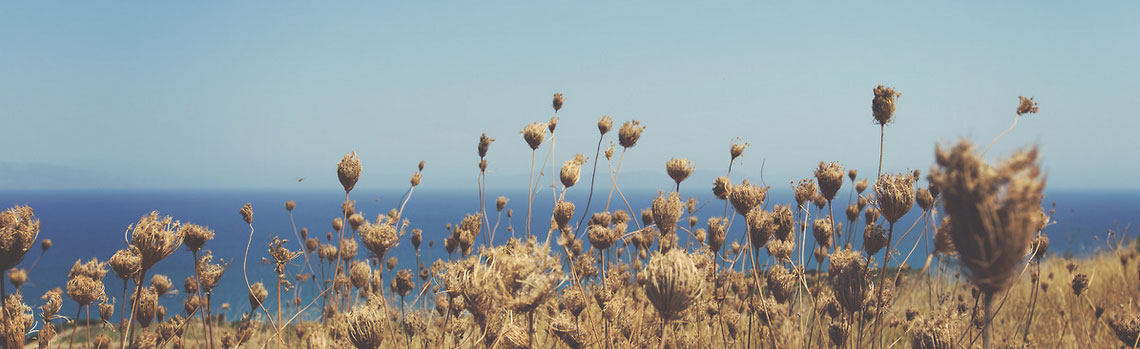 免费电话轰炸机